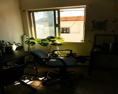 Minimalist office desk setup with warm light and small green indoor plants